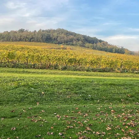 La Maison Du Vigneron 度假居